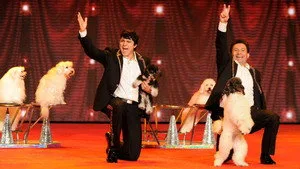 America's Got Talent 10. sezon 12. bölüm görseli