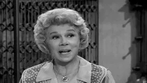 Petticoat Junction 1. sezon 29. bölüm görseli