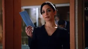 The Good Wife 4. sezon 13. bölüm görseli