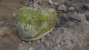 The Curse of Oak Island 13. sezon 12. bölüm görseli