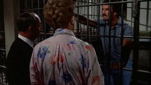 Murder, She Wrote 3. sezon 7. bölüm görseli
