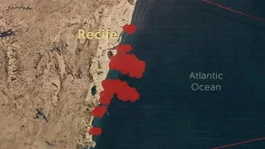 When Sharks Attack 5. sezon 4. bölüm görseli