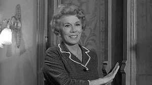 Petticoat Junction 1. sezon 8. bölüm görseli