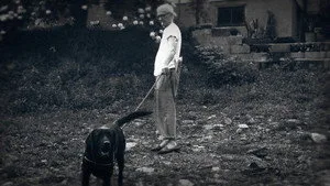 44 Kalibreli Katilin Peşinde