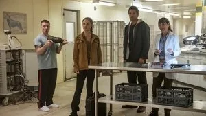 NCIS: Hawaiʻi 3. sezon 10. bölüm görseli