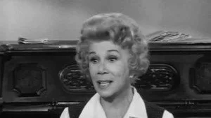 Petticoat Junction 1. sezon 16. bölüm görseli