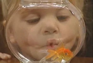 17. Bölüm