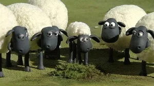 Koyun Shaun 1. sezon 8. bölüm görseli