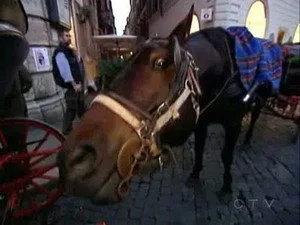 7. Bölüm