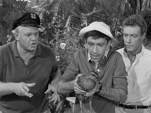 Gilligan's Island 1. sezon 7. bölüm görseli