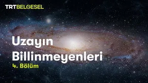 Bizi Bir Arada Tutan Kuvvet