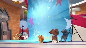 Bingo ve Rolly'nin Maceraları 5. sezon 7. bölüm görseli