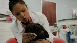Pop Goes the Vet with Dr. Joya 1. sezon 7. bölüm görseli