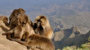 Afrika'nın Gizli Hazineleri 1. sezon 2. bölüm görseli