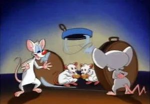 Pinky and the Brain 1. sezon 19. bölüm görseli
