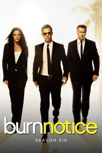 Burn Notice 6. sezon posteri