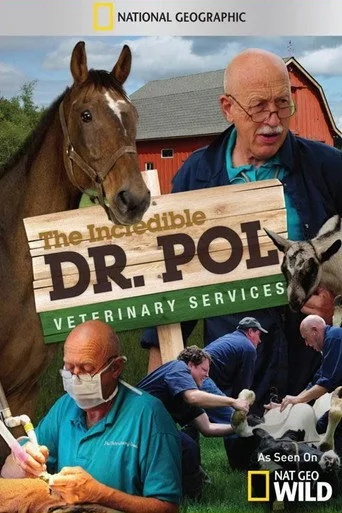 Yetenekli Doktor Pol 1. sezon posteri