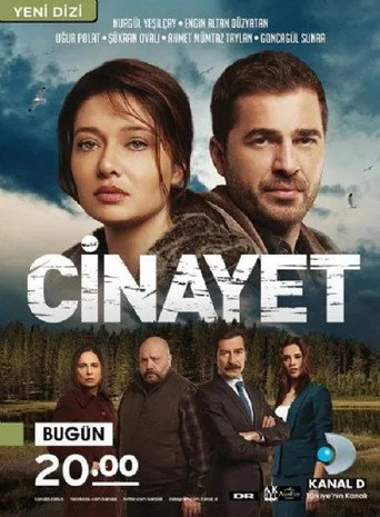 Cinayet (2014) posteri