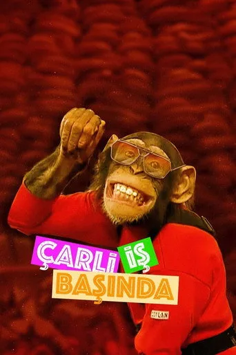 Çarli İş Başında (2001) posteri