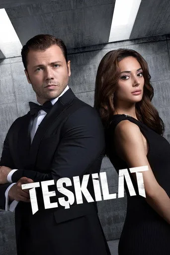 Teşkilat 6. sezon posteri