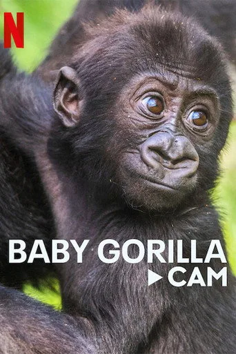 Gorillerin Yaşamından Canlı Yayın (2023) posteri