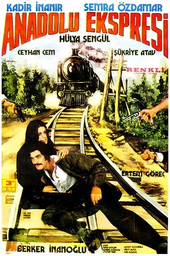 Anadolu Ekspresi (1973) posteri