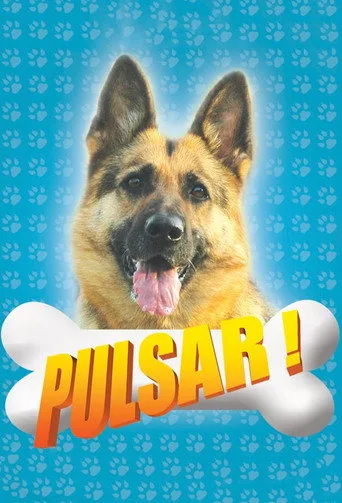 Pulsar (2008) posteri