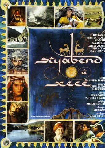 Siyabend ile Heco (1991) posteri