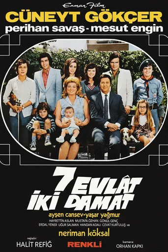 Yedi Evlat İki Damat (1973) posteri