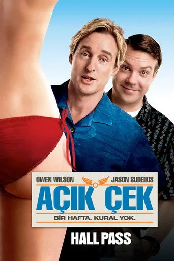 Açık Çek (2011) posteri