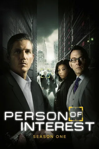 Person of Interest 1. sezon posteri