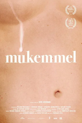 Mükemmel (2024) posteri