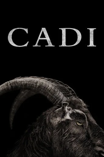 Cadı (2016) posteri