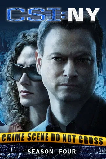 CSI: NY 4. sezon posteri