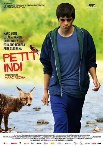 Küçük İndi (2009) posteri