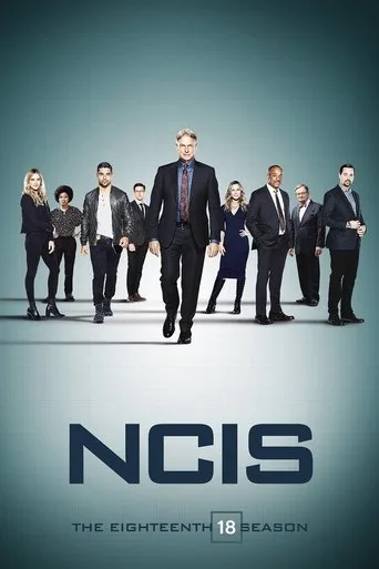NCIS 18. sezon posteri