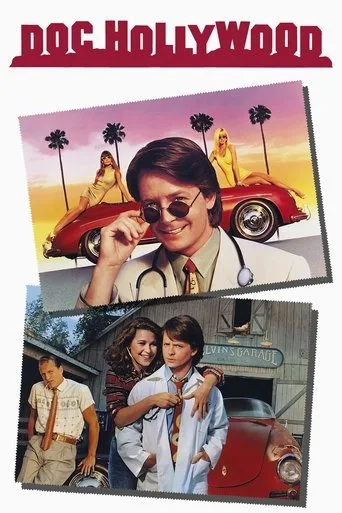 Hollywood Doktoru (1991) posteri