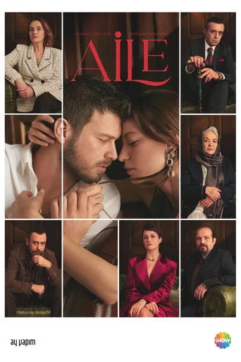 Aile 1. sezon posteri