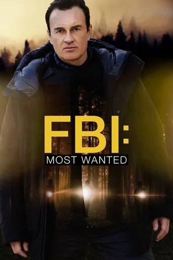 FBI: Most Wanted 3. sezon posteri