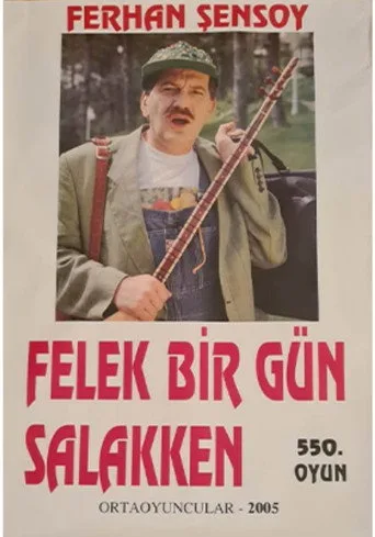 Felek Bir Gün Salakken (1995) posteri