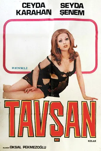 Tavşan Kızlar (1976) posteri