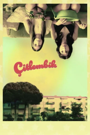 Çitlembik posteri