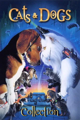 Kediler ve Köpekler serisi