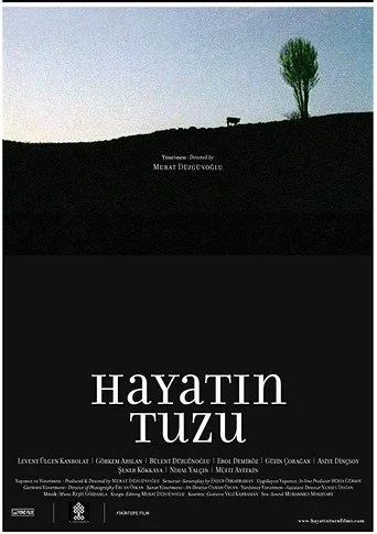 Hayatın Tuzu (2008) posteri