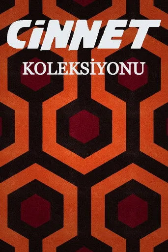 Cinnet serisi