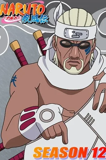 Naruto: Shippuuden 12. sezon posteri