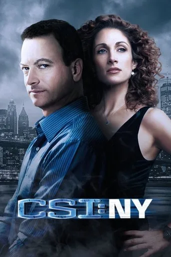 CSI: NY (2004) posteri