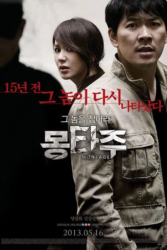 Montaj (2013) posteri