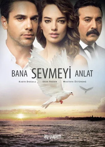 Bana Sevmeyi Anlat (2016) posteri