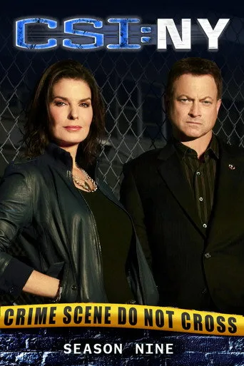 CSI: NY 9. sezon posteri